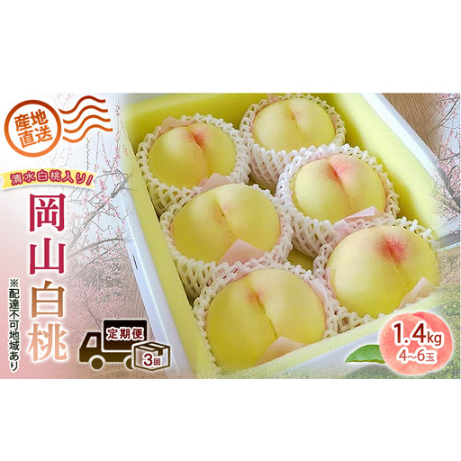 2026年 先行予約 ご家庭用 清水白桃 岡山白桃 食べ比べ定期便 1.4kg(4〜6玉) もも モモ 岡山県 国産 フルーツ 果物