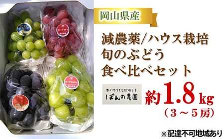 ぶどう 2025年 先行予約 旬のぶどう 食べ比べセット 約1.8kg 3〜5房 減農薬/ハウス栽培 ブドウ 葡萄 岡山県産 国産 フルーツ 果物 ギフト ばんの農園