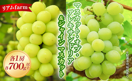 y2026Ns\z Ԃǂ RY }XJbg EIuE ALThA  VC}XJbg e1[ie700gȏj 2026N7{-8{o t[c ʕ ʌ Ԍ 