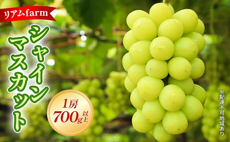 y2026Ns\z Ԃǂ RY VC}XJbg 1[i700gȏj s2026N7{-8{oׁt  uhE t[c ʕ XC[c ʌ Ԍ  A farm