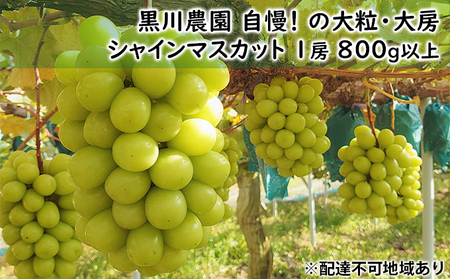 Ԃǂ 2025N s\ _  !  嗱 [ VC }XJbg 1[ 800gȏ uhE  RY Y t[c ʕ Mtg ʕ VC}XJbg