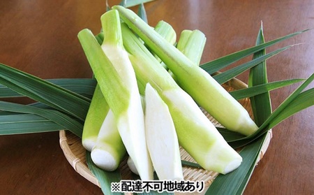 里庄 まこもたけ （2.0kg）【2025年10月上旬～2026年1月下旬出荷】 野菜 マコモダケ マコモ 中華料理 天ぷら 高級食材 送料無料 里庄町