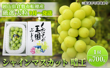 [2025年先行予約] ぶどう 岡山県産 シャインマスカット 晴王 厳選 1房 約700g 大房 岡山県 倉敷市 船穂産 [2025年9月上旬-10月上旬頃出荷] 葡萄 ブドウ フルーツ 果物 数量限定 期間限定 里庄町