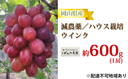 ぶどう 2025年 先行予約 ウインク 1房 約600g 減農薬/ハウス栽培 ブドウ 葡萄 岡山県産 国産 フルーツ 果物 ギフト ばんの農園