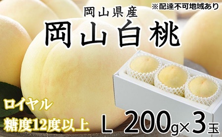 桃 2024年 先行予約 岡山 白桃 ロイヤル 3玉×約200g(Lサイズ) JA おかやま のもも(早生種・中生種) もも モモ 岡山県産 国産 フルーツ 果物 ギフト