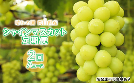 [ 2025年 先行予約 ]ぶどう 晴れの国 シャインマスカット 1房(700g以上) 定期便 2回コース-A [2025年10月-12月出荷] 葡萄 ブドウ 岡山県産 フルーツ 果物 数量限定 里庄町