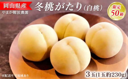 [限定50箱]冬桃がたり(白桃)約230g×3玉 岡山県 フルーツ もも 桃 モモ ピーチ 人気 新鮮 フルーツ 桃 デザート フルーツ もも モモ ギフト くだもの 桃 もも 果物 桃 もも やまか難波農園