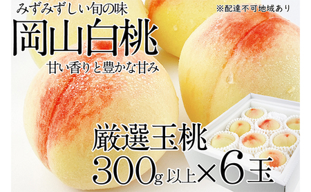 桃 2025年 先行予約 岡山の白桃 300g以上×6玉 白桃 旬 みずみずしい 晴れの国 おかやま 岡山県産 フルーツ王国 果物王国