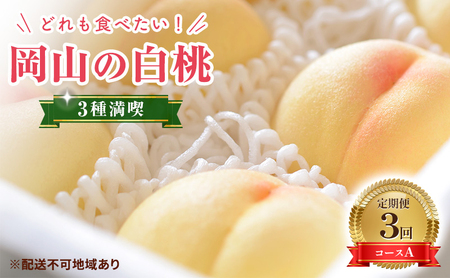 [2025年先行予約] 桃 岡山県産 どれも食べたい!岡山の桃 3種 満喫 プラン 3回 コースA ( 日川白鳳 ・ 白鳳 ・ 瀬戸内白桃 各1.5kg)[2025年6月上旬-8月下旬頃出荷]白桃 数量限定 期間限定 定期便