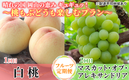 [2025年先行予約] 桃 ぶどう 晴れの国 岡山の恵みギュギュッ! 〜桃もぶどうも楽しむプラン〜 ( 白桃 ・ アレキサンドリア )[2025年6月下旬-7月下旬頃出荷] もも モモ 葡萄 ブドウ 里庄町 数量限定