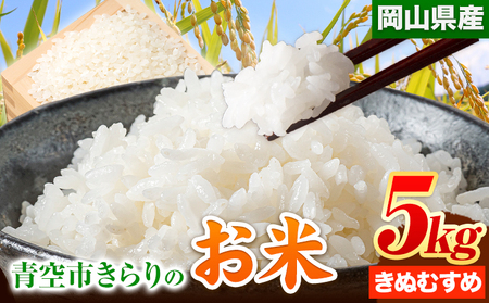 令和6年産 青空市きらりの お米 5kg 岡山県産 きぬむすめ 青空市きらり[30日以内に出荷予定(土日祝除く)]岡山県 矢掛町 白米 精米 米 コメ