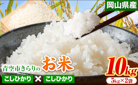 令和6年産 青空市きらりの お米 10kg 岡山県産 こしひかり×こしひかり 青空市きらり[30日以内に出荷予定(土日祝除く)]岡山県 矢掛町 白米 精米 米 コメ