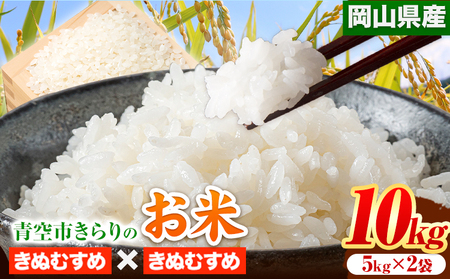 令和6年産 青空市きらりの お米 10kg 岡山県産 きぬむすめ×きぬむすめ 青空市きらり[30日以内に出荷予定(土日祝除く)]岡山県 矢掛町 白米 精米 米 コメ