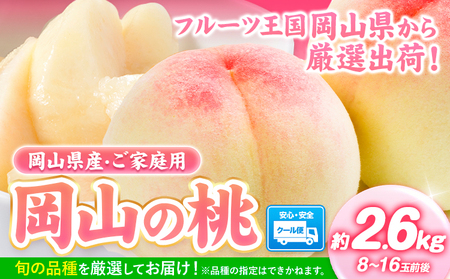 [先行予約] 岡山県産 岡山の桃 約2.6kg [2024年6月下旬-9月上旬頃出荷] 白桃 桃