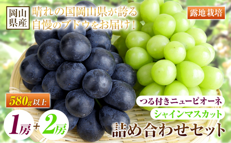 岡山県産 つる付き!ニューピオーネ 1房 580g & シャインマスカット 2房 1あたり580g セット 露地栽培[配送不可地域あり]ニューピオーネ シャインマスカット[9月上旬-10月末頃に出荷予定(土日祝除く)] 岡山県 矢掛町 晴王 ぶどう 詰め合わせ 果物