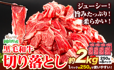  јa ؂藎Ƃ 2kg s30ȓɏoח\(yj)tb јa  R |
