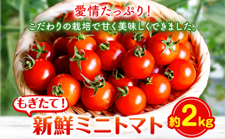 ~jg}g 2kg o_ s1{-5oׁt R |  ~jg}g  VN st-p