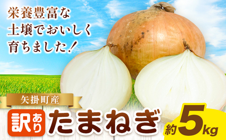 訳あり 玉ねぎ 約5kg[5月末〜7月中旬頃に出荷予定]|玉ねぎ 矢掛町産玉ねぎ 訳あり玉ねぎ
