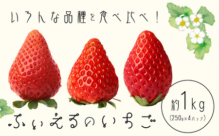  ͕P  gق 1kg(250g×4P) ӂs1{`4{oח\tR |Y  ʕ t[c ӂ