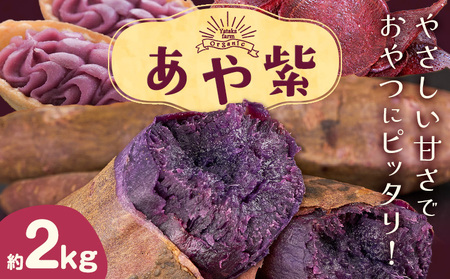 あや紫 約2kg Yataka farm[10月上旬-1月末頃出荷]岡山県 矢掛町 芋芋芋芋芋