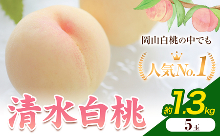 [2026年発送先行予約]清水白桃 5玉 1.3kg 内容量 晴れの国おかやま館[2026年7月下旬-8月上旬頃出荷] 白桃 フルーツ 果物 岡山県 矢掛町 桃 モモ もも 送料無料