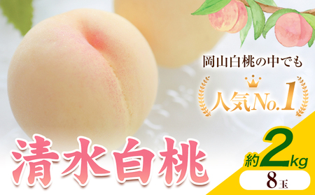 [2026年発送先行予約]清水白桃 8玉 約2kg 晴れの国おかやま館[2026年7月下旬-8月上旬頃出荷] 白桃 フルーツ 果物 岡山県 矢掛町 桃 モモ もも 送料無料