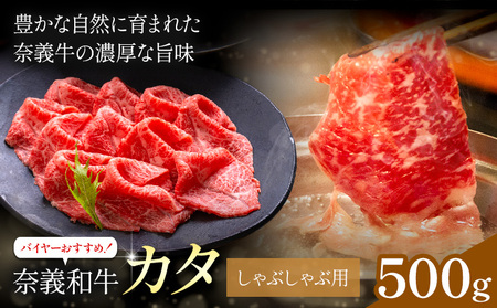 ދ`a J^ oC[߁I Ԃԗp 500g  Vs30ȓɏoח\(yj)tR | a   J^ Ԃ 
