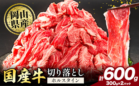牛肉 肉 国産牛 切り落とし ホルスタイン 大容量 小分け 600g(300g×2) [30日以内に出荷予定(土日祝除く)]牛肉 岡山県産 岡山県 矢掛市 お肉 にく カレー 牛丼