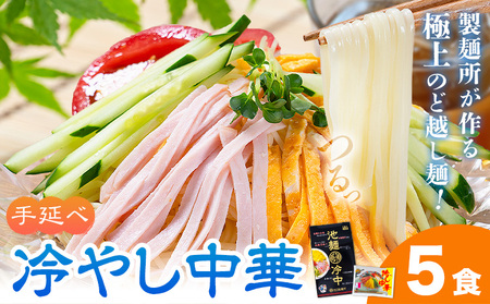 冷やし中華 5食セット(麺80g×5束、スープ5袋) [30日以内に出荷予定(土日祝除く)]