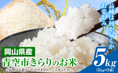 令和7年産 青空市きらりのお米 5kg[30日以内に発送予定]