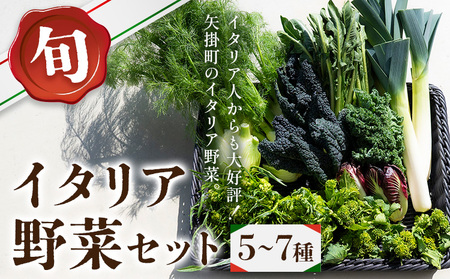 旬のイタリア野菜セット 5〜7種[11月下旬-3月中旬頃出荷]