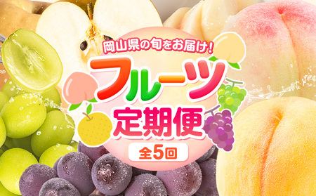 岡山県の贅沢フルーツ定期便 全5回