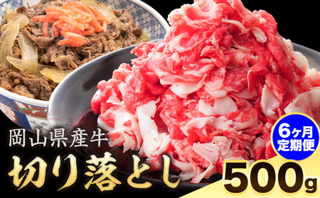 【6ヶ月定期便】岡山県産牛 切り落とし 交雑牛 500g お試し 大容量