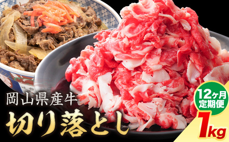 【12ヶ月定期便】岡山県産牛 切り落とし 交雑牛 1kg お試し 大容量