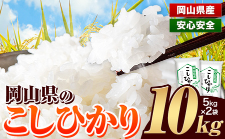 令和6年産 岡山県のこしひかり 10kg 5kg×2袋 岡山県産 白米 精米 矢掛町[30日以内に出荷予定(土日祝除く)]| こしひかりコシヒカリ米コメ