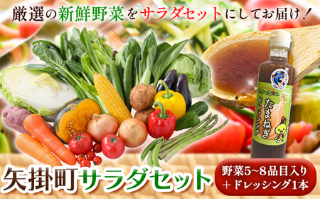 野菜 サラダ セット 野菜 5〜8品目入 青空市きらり[4月上旬から10月上旬頃に出荷予定] | 岡山県 矢掛町 野菜 サラダ ドレッシング トマト きゅうり アスパラガス 玉ねぎ リーキ 送料無料