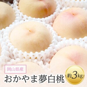 岡山県産「おかやま夢白桃」約3kg|2025年7月下旬以降発送予定【1489035】