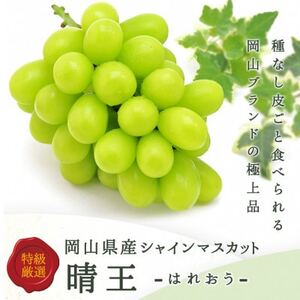 岡山県産 シャインマスカット『晴王』2房(1房480g以上) 化粧箱入り[配送不可地域:離島]