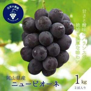 岡山 花笑み農園の『ニューピオーネ』1kg(2房) P-1[9月上旬〜順次発送][配送不可地域:離島]