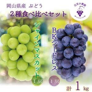 岡山 花笑み農園『シャインマスカット&BKシードレス』1kg(2房)BS-1 [9月下旬〜順次発送][配送不可地域:離島]