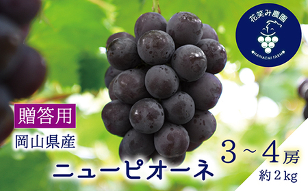 [2026年先行受付]岡山 花笑み農園の『ニューピオーネ』贈答用 約2kg(3〜4房)P-2上[配送不可地域:離島]