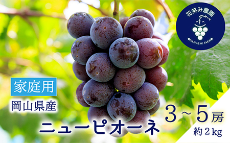 [2026年先行受付]岡山 花笑み農園の『ニューピオーネ』家庭用 約2kg(3〜5房)P-2家[配送不可地域:離島]
