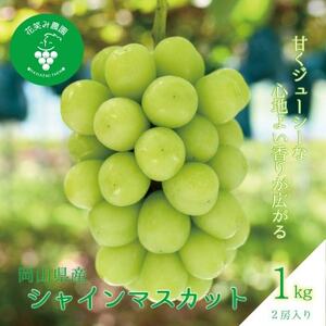 岡山 花笑み農園の 『シャインマスカット』1kg(2房) S-1[9月下旬〜順次発送][配送不可地域:離島]