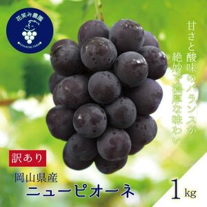 岡山 花笑み農園の 『訳ありニューピオーネ』1kg WP-1[配送不可地域:離島]