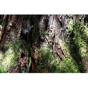 V@XуZs[̌`Pbg(1l)y1606962z