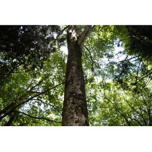 V@XуZs[̌`Pbg(6l)y1607000z