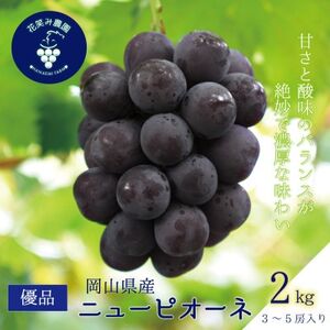 [2026年先行受付]岡山 花笑み農園の『ニューピオーネ』優品 約2kg(3〜5房)P-2優[配送不可地域:離島]