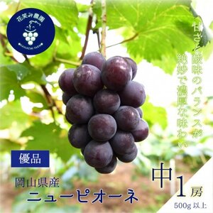 �y2026�N��s��t�z���R�@�ԏ΂ݔ_���́w�j���[�s�I�[�l�x500g�ȏ�(��1�[)P-��1�y�z���s�n��F�����z�y1695400�z