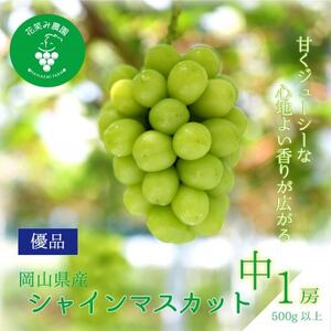 �y2026�N��s��t�z���R�@�ԏ΂ݔ_���́w�V���C���}�X�J�b�g�x500g�ȏ�(��1�[)S-��1�y�z���s�n��F�����z�y1695403�z