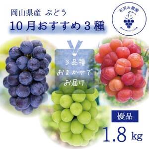 [2026年先行受付]岡山 花笑み農園の『10月おすすめ3種』優品 1.8kg(3房)3M-2L優[配送不可地域:離島]